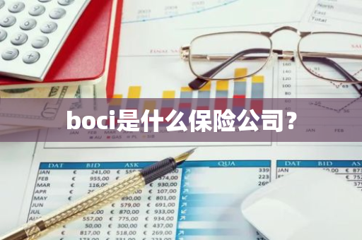boci是什么保险公司？