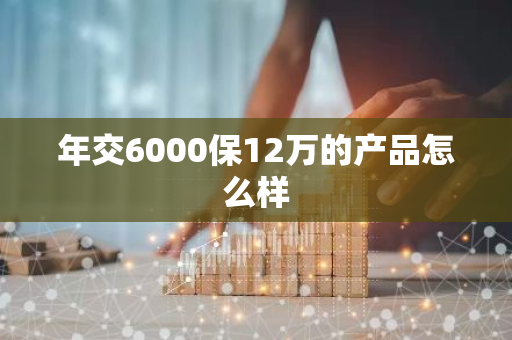 年交6000保12万的产品怎么样