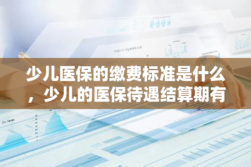少儿医保的缴费标准是什么，少儿的医保待遇结算期有何规定
