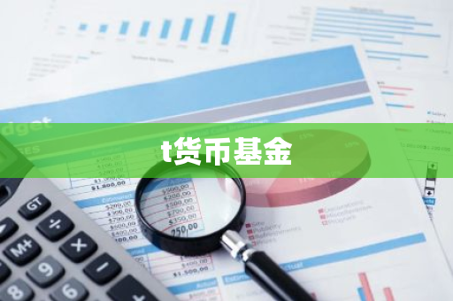 t货币基金