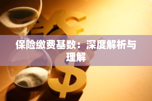 保险缴费基数：深度解析与理解