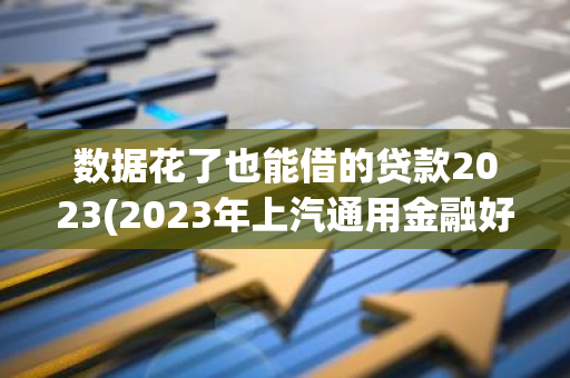 数据花了也能借的贷款2023(2023年上汽通用金融好下款么)