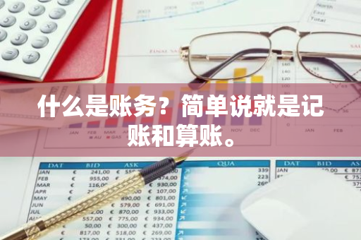 什么是账务？简单说就是记账和算账。