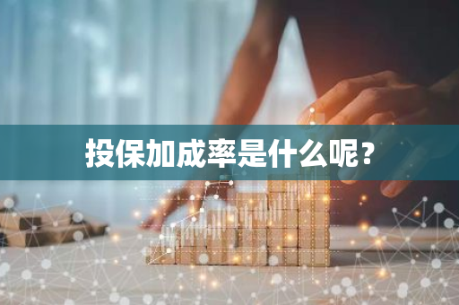 投保加成率是什么呢？