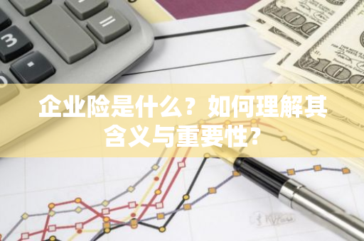 企业险是什么？如何理解其含义与重要性？
