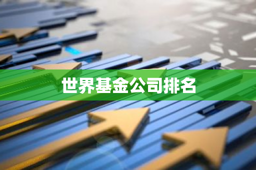 世界基金公司排名