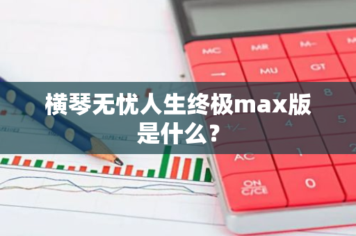 横琴无忧人生终极max版是什么？