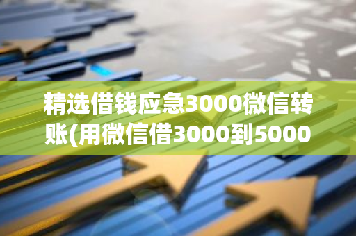 精选借钱应急3000微信转账(用微信借3000到5000怎么借)