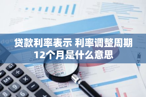 贷款利率表示 利率调整周期12个月是什么意思