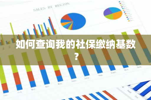 如何查询我的社保缴纳基数？