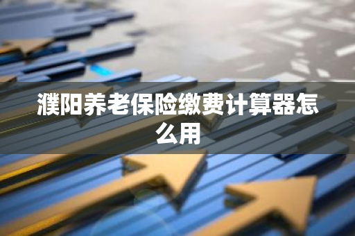 濮阳养老保险缴费计算器怎么用