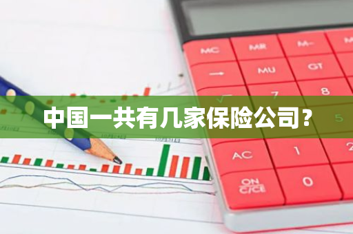 中国一共有几家保险公司？