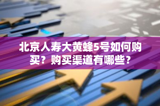 北京人寿大黄蜂5号如何购买？购买渠道有哪些？