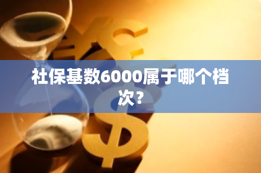 社保基数6000属于哪个档次？