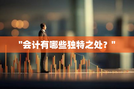 "会计有哪些独特之处？"