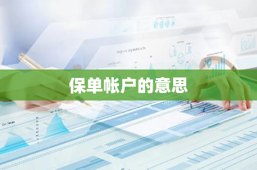 保单帐户的意思