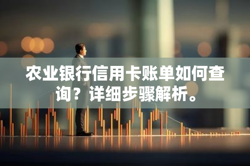 农业银行信用卡账单如何查询？详细步骤解析。