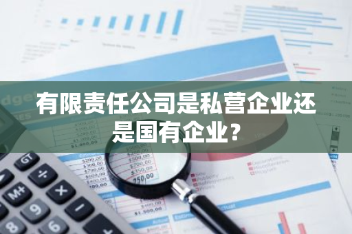 有限责任公司是私营企业还是国有企业？