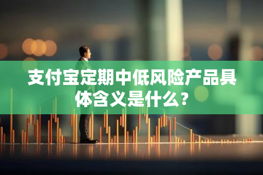 支付宝定期中低风险产品具体含义是什么？