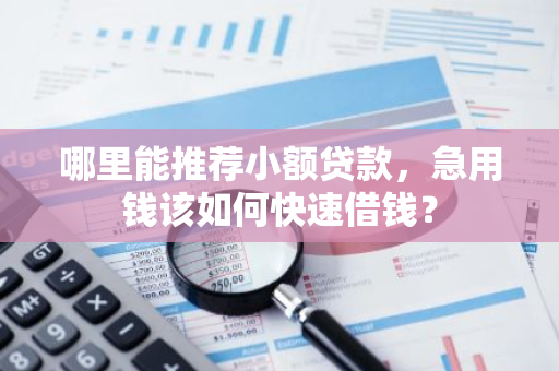 哪里能推荐小额贷款，急用钱该如何快速借钱？