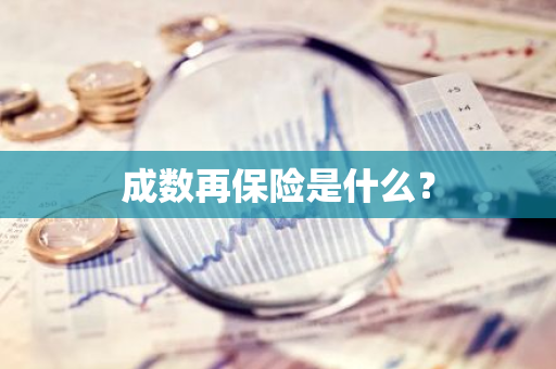 成数再保险是什么？