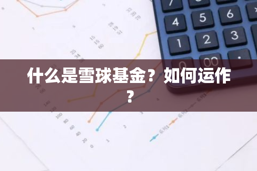 什么是雪球基金？如何运作？