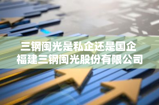 三钢闽光是私企还是国企 福建三钢闽光股份有限公司是国企吗