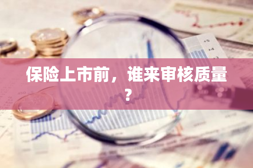 保险上市前，谁来审核质量？