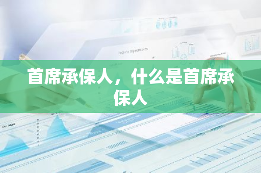 首席承保人，什么是首席承保人