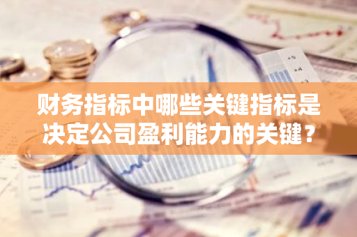 财务指标中哪些关键指标是决定公司盈利能力的关键？