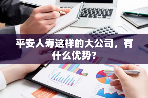 平安人寿这样的大公司，有什么优势？