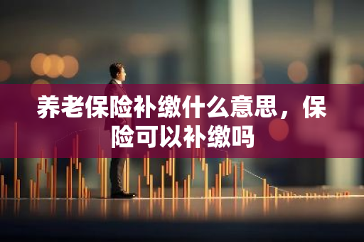 养老保险补缴什么意思，保险可以补缴吗