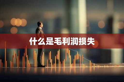 什么是毛利润损失