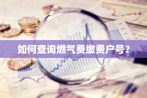 如何查询燃气费缴费户号？