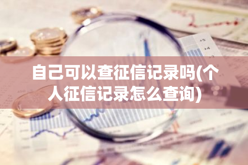 自己可以查征信记录吗(个人征信记录怎么查询)