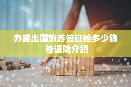 办理出国旅游签证险多少钱 签证险介绍