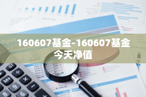 160607基金-160607基金今天净值