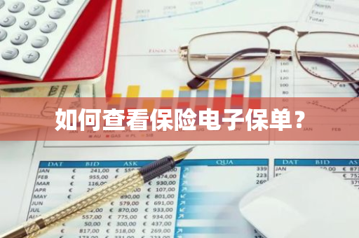 如何查看保险电子保单？