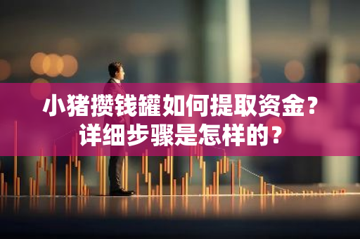 小猪攒钱罐如何提取资金？详细步骤是怎样的？