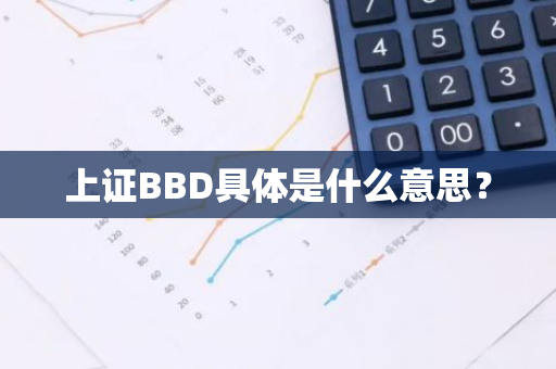 上证BBD具体是什么意思？
