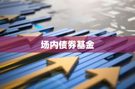 场内债券基金
