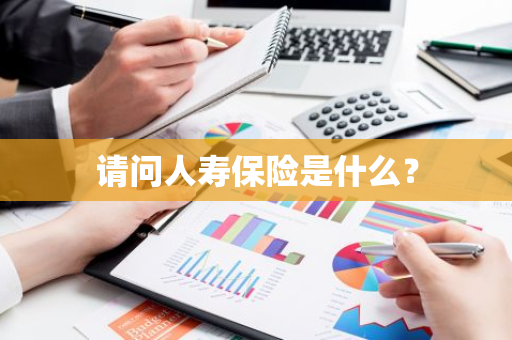 请问人寿保险是什么？