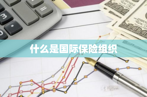 什么是国际保险组织