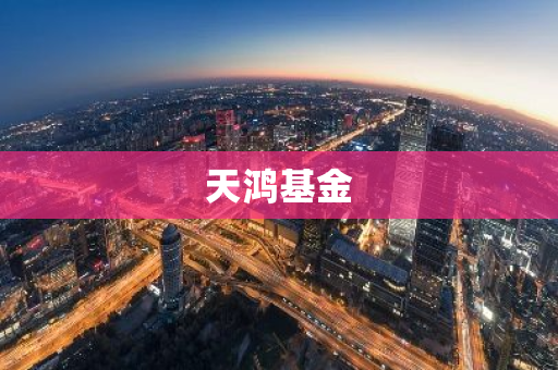 天鸿基金