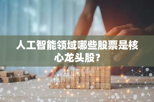 人工智能领域哪些股票是核心龙头股？