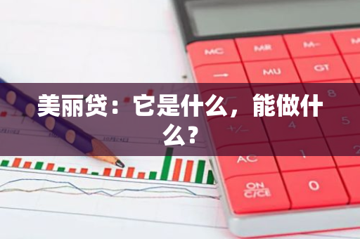 美丽贷：它是什么，能做什么？