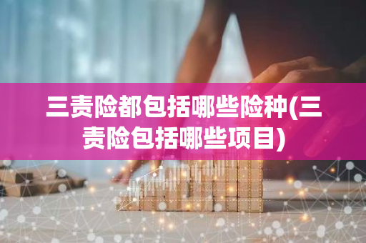 三责险都包括哪些险种(三责险包括哪些项目)