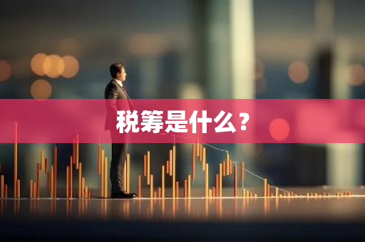 税筹是什么？