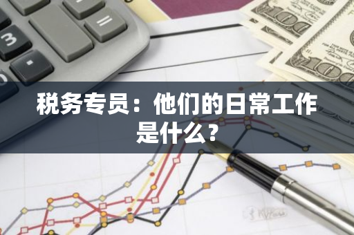 税务专员：他们的日常工作是什么？