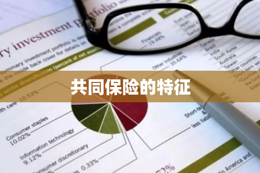 共同保险的特征